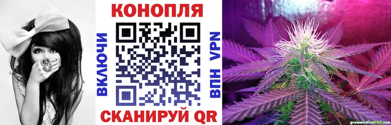 Магазины продажи наркотиков Светлоград ГАШИШ  COCAIN  Alpha-PVP  Каннабис  МЕФ 