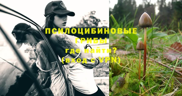 ешки Надым