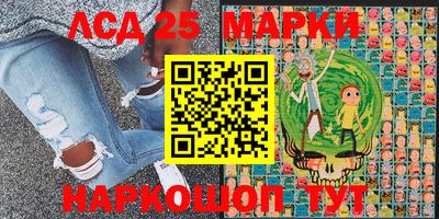 индика Беслан