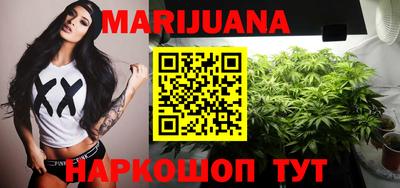 индика Беслан