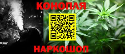 индика Беслан