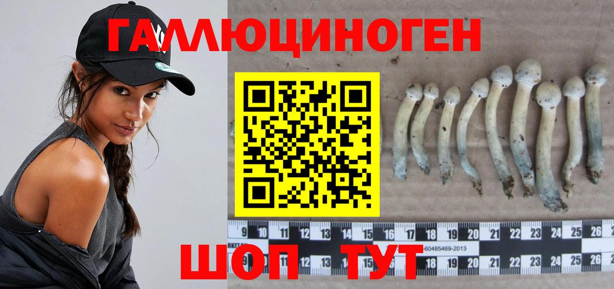 Псилоцибиновые грибы Cubensis Светлоград