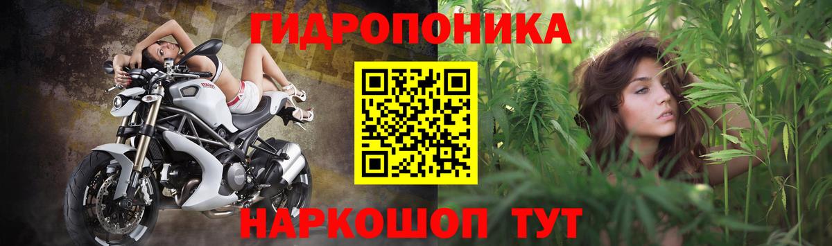Бошки марихуана AK-47  Вход с VPN  Марихуана индика  Канабис ГИДРОПОН  Светлоград  МАРИХУАНА ГИДРОПОН 